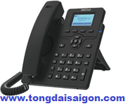 Điện thoại IP Dinstar C60UP-W